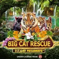 Big Cat Rescue MegaWaysRedtiger screenshot
